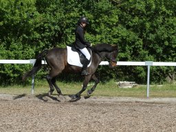 IMG_4881_web